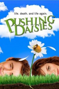 pushing daisies