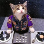 chats dj en video