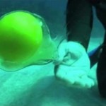oeuf dans l'eau