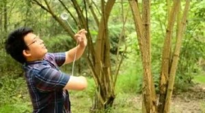 Paul Dang yoyo