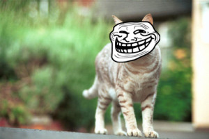 chat troll