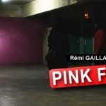 remi gaillard panthere rose
