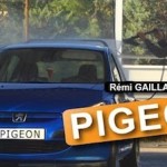 Rémi Gaillard pigeon