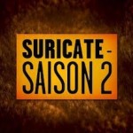 suricate