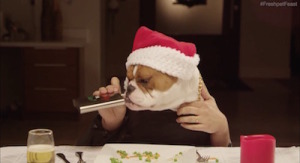 noel animaux